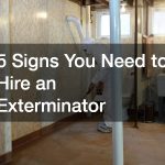 Signs You Need to Hire an Exterminator