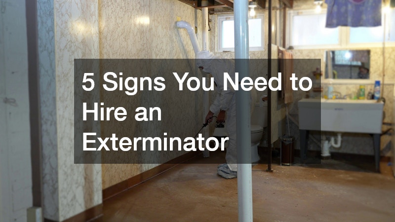 Signs You Need to Hire an Exterminator